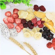 Keripik Buah Kering Beku